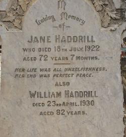 William Haddrill