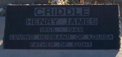 Henry James Criddle