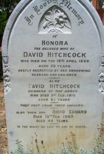David Hitchcock