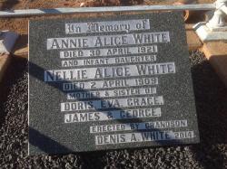 Annie Alice Robinson