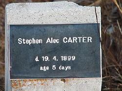Stephen Carter