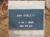 John Giblett