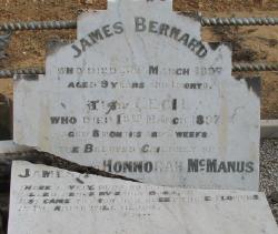 James B McManus